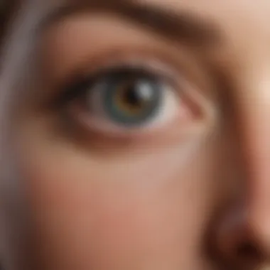 Understanding Retina Image Tests: Techniques, Applications, and Implications Introduction Understanding Retina Image Tests: Techniques, Applications, and Implications Introduction