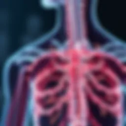 Illustration depicting spasticity in neuromuscular pathways