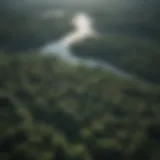 Aerial view of the Amazon rainforest showcasing its vast expanse and lush greenery