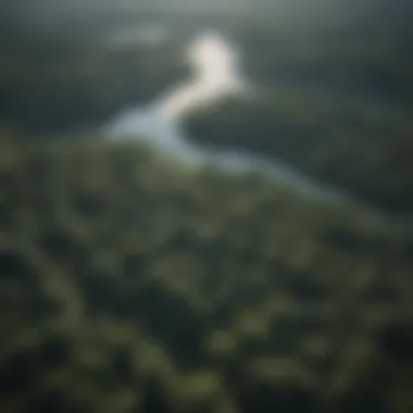 Aerial View of the Amazon Rainforest Aerial view of the Amazon rainforest showcasing its vast expanse and lush greenery