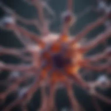 Role of glial cells supporting neurons