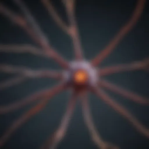 Diagram illustrating the unique structure of a neuron