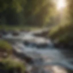 Illustration of weak stream flow in a river