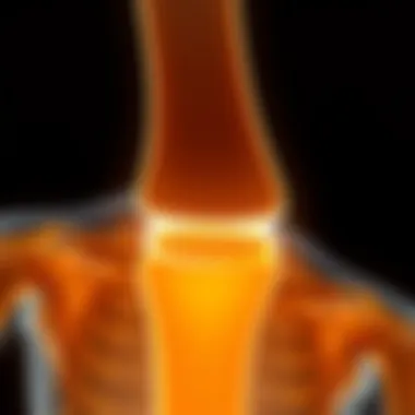 Illustration of bone health