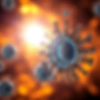 Immune system response and Vitamin D