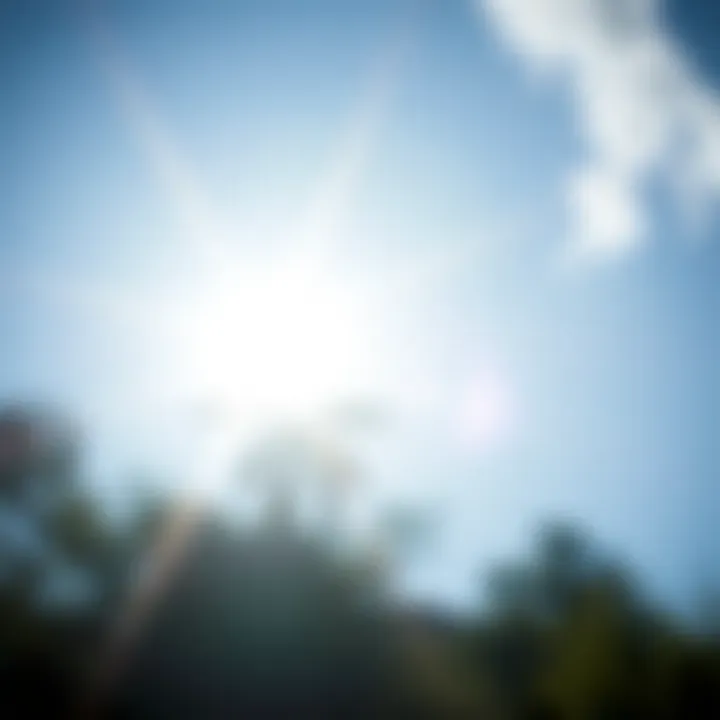 Sunlight exposure and Vitamin D synthesis