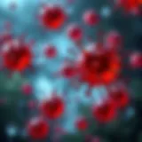 Illustration of immune cells responding to inflammation