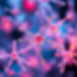 Understanding the Role of the ASCT2 Antibody in Scientific Research Introduction