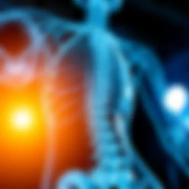 Physiological role of vitamin D in the body