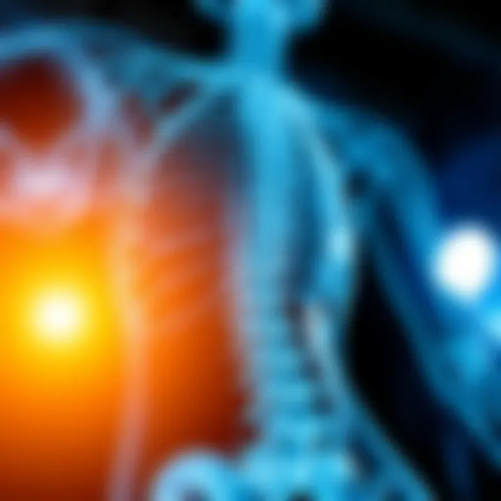 Physiological role of vitamin D in the body