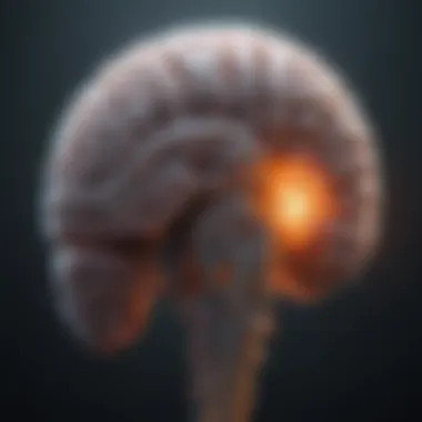 MRI Scan of Brain Tumor A detailed MRI scan showcasing a brain tumor.
