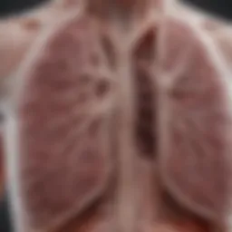 A close-up of lung scans showing untreated cancerous growths