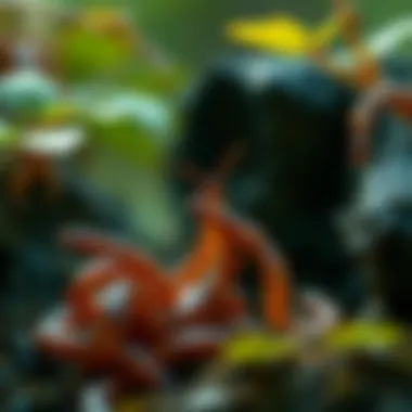 Ecological Roles of Worms Worms interacting within their ecosystem